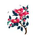 Branch with flowers and buds of camellia. Vector illustration Perfume and cosmetic plants. Wallpaper.
